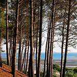 Apartament **arcachon Centre: T3 Moderne Avec Terrasse, Proche Et Commerces Pour 4 Personnes** - Fr-1-420-112 *