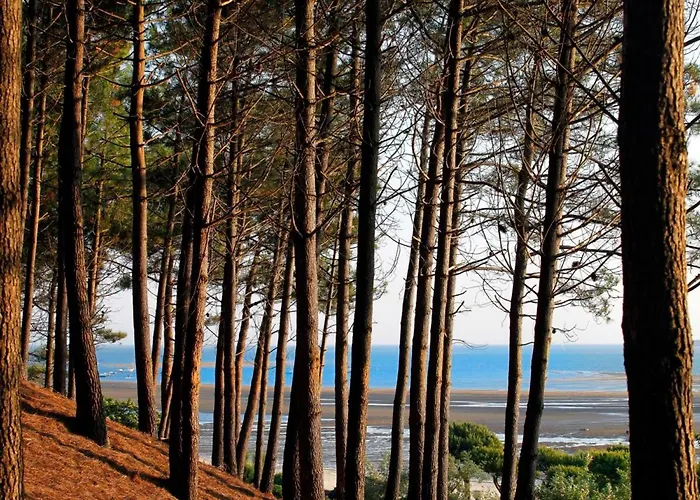 Апартаменти **arcachon Centre: T3 Moderne Avec Terrasse, Proche Et Commerces Pour 4 Personnes** - Fr-1-420-112 *