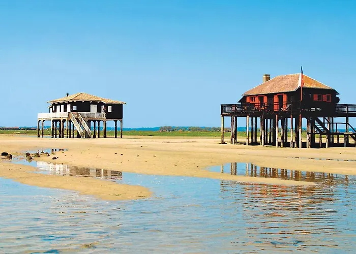 Апартаменти **arcachon Centre: T3 Moderne Avec Terrasse, Proche Et Commerces Pour 4 Personnes** - Fr-1-420-112