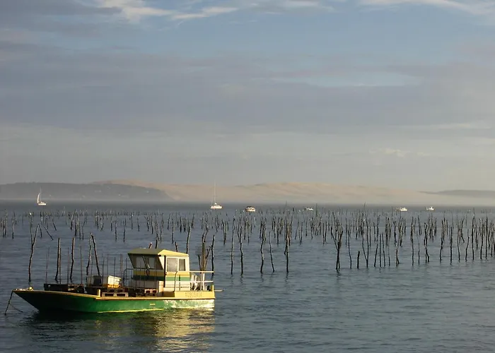 **arcachon Centre: T3 Moderne Avec Terrasse, Proche Et Commerces Pour 4 Personnes** - Fr-1-420-112 아파트 *