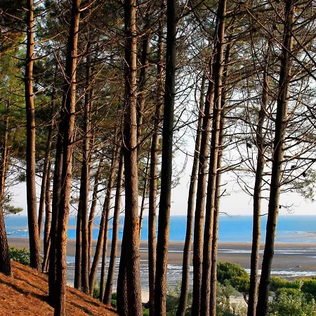 Lägenhet **arcachon Centre: T3 Moderne Avec Terrasse, Proche Et Commerces Pour 4 Personnes** - Fr-1-420-112 *