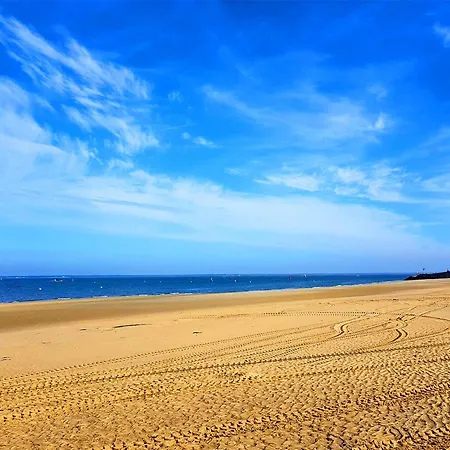 **arcachon Centre: T3 Moderne Avec Terrasse, Proche Et Commerces Pour 4 Personnes** *