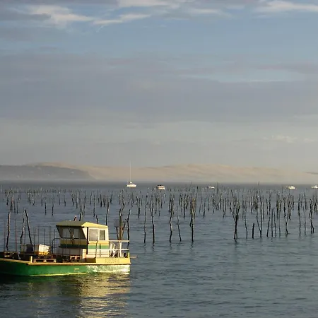 **arcachon Centre: T3 Moderne Avec Terrasse, Proche Et Commerces Pour 4 Personnes** - Fr-1-420-112 Apartment *